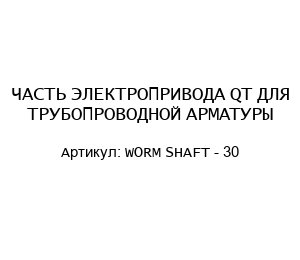 ЧАСТЬ ЭЛЕКТРОПРИВОДА QT ДЛЯ ТРУБОПРОВОДНОЙ АРМАТУРЫ WORM SHAFT - 30