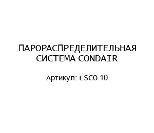 ПАРОРАСПРЕДЕЛИТЕЛЬНАЯ СИСТЕМА CONDAIR ESCO 10