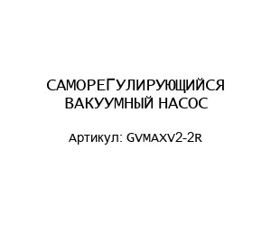 САМОРЕГУЛИРУЮЩИЙСЯ ВАКУУМНЫЙ НАСОС GVMAXV2-2R