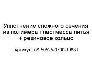 Уплотнение сложного сечения из полимера пластмасса литья + резиновое кольцо BS 50525-0700-19881