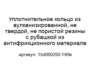 Уплотнительное кольцо из вулканизированной, не твердой, не пористой резины с рубашкой из антифрикционного материала TG4000250-T40N