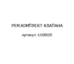 РЕМ.КОМПЛЕКТ КЛАПАНА ES06020