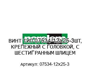 ВИНТ ТИП 07534-12X25-3ШТ, КРЕПЕЖНЫЙ С ГОЛОВКОЙ, С ШЕСТИГРАННЫМ ШЛИЦЕМ