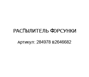 РАСПЫЛИТЕЛЬ ФОРСУНКИ 284978 B2646682