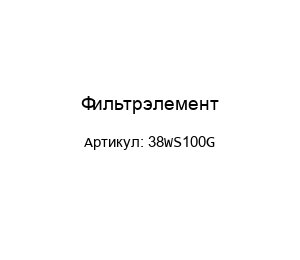 Фильтрэлемент 38WS100G