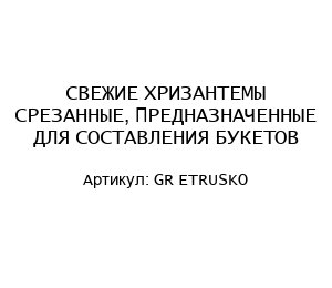 СВЕЖИЕ ХРИЗАНТЕМЫ СРЕЗАННЫЕ, ПРЕДНАЗНАЧЕННЫЕ ДЛЯ СОСТАВЛЕНИЯ БУКЕТОВ GR ETRUSKO