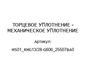 ТОРЦЕВОЕ УПЛОТНЕНИЕ - МЕХАНИЧЕСКОЕ УПЛОТНЕНИЕ MS01_RMG13/28-G606_25507BA0