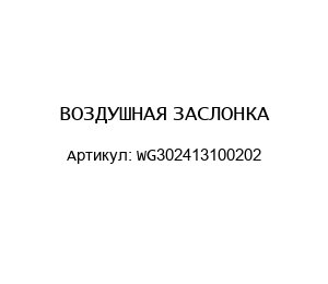 ВОЗДУШНАЯ ЗАСЛОНКА WG302413100202