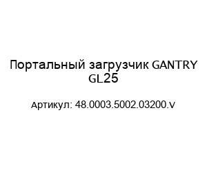 Портальный загрузчик GANTRY GL25 48.0003.5002.03200.V