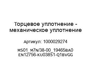 Торцевое уплотнение - механическое уплотнение 1000029274 MS01_M7N/38-00_19465BA0 EN12756-KU038S1-Q1BVGG