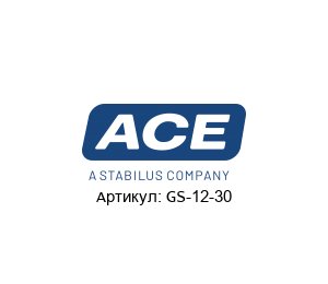 GS-12-30  ACE / ACE Controls