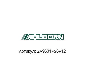 ZA9601FS6V12 Ahlborn (ALMEMO) Входной разъем
