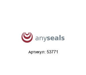 53771 Anyseals Уплотнение