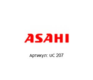 UC 207 Asahi Подшипник