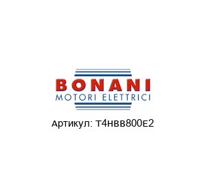 T4HBB800E2 Bonani Асинхронный двигатель