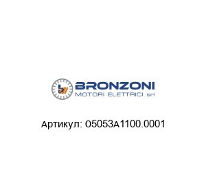 O5053A1100.0001 Bronzoni Электродвигатель