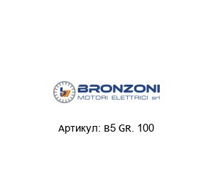 B5 GR. 100 Bronzoni Электродвигатель