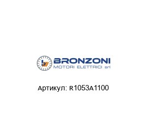R1053A1100 Bronzoni Электродвигатель