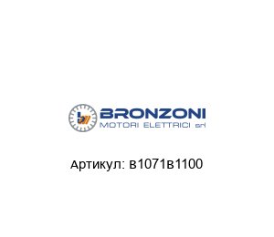 B1071B1100 Bronzoni Электродвигатель
