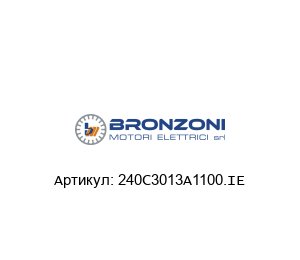 240C3013A1100.IE Bronzoni Электродвигатель