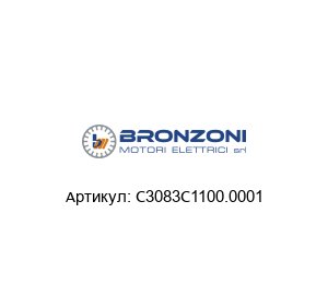 C3083C1100.0001 Bronzoni Электрический мотор