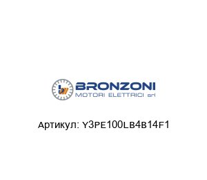Y3PE100LB4B14F1 Bronzoni Электродвигатель