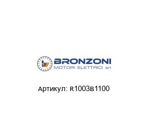 R1003B1100 Bronzoni Электродвигатель