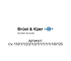CV-110/1/1/2/2/1/2/1/1/1/1/1/1/0/125 Br?el & Kjaer (brand of HBK company)