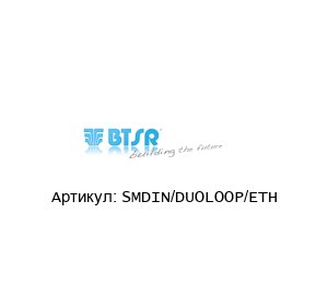 SMDIN/DUOLOOP/ETH BTSR Управляющее устройство