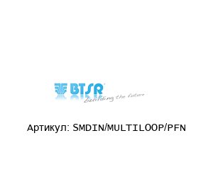 SMDIN/MULTILOOP/PFN BTSR Управляющее устройство