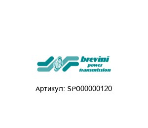 SPO00000120 Brevini (brand of DANA Group)
