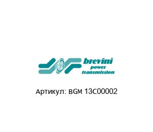 BGM 13C00002 Brevini (brand of DANA Group) Гидравлический мотор
