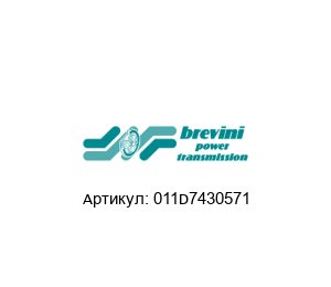 011D7430571 Brevini (brand of DANA Group)
