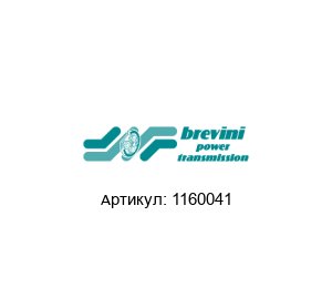 1160041 Brevini (brand of DANA Group) Уплотнительный комплект