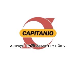 DN25 AAAABTIYI-OR V Capitanio Airpumps Мембранный насос