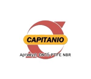 DN15 PTFE NBR Capitanio Airpumps Резиновая мембрана