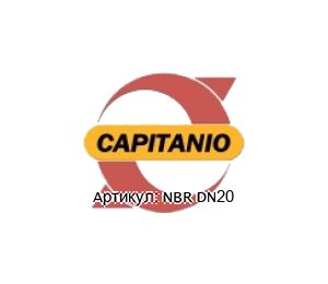 NBR DN20 Capitanio Airpumps Комплект мембран