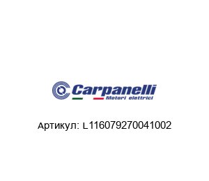 L116079270041002 Carpanelli Электрический мотор