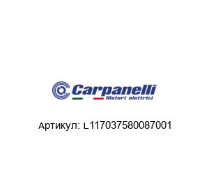 L117037580087001 Carpanelli Электрический мотор