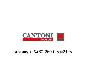 SA60-250-0,5 M2425 Cantoni Motor Шунт