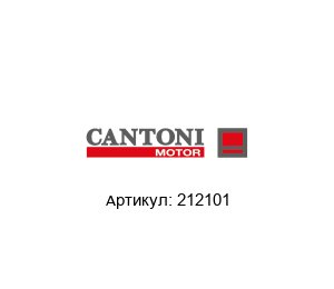 212101 Cantoni Motor Электрический двигатель