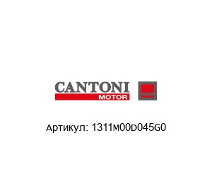 1311M00D045G0 Cantoni Motor Электродвигатель