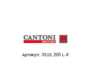 3SIE 200 L-4 Cantoni Motor Электродвигатель