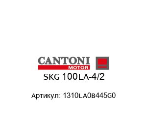 SKG 100LA-4/2 1310LA0B445G0 Cantoni Motor Мотор