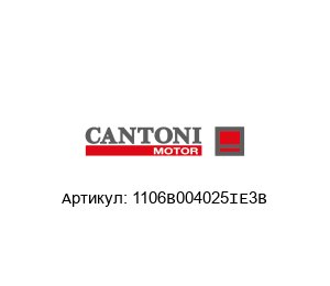 1106B004025IE3B Cantoni Motor Электродвигатель