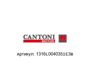 1316L004035IE3B Cantoni Motor Мотор