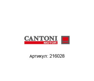 216028 Cantoni Motor Электродвигатель