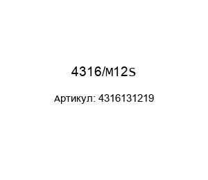 4316/M12S 4316131219 Castel Valves Фильтр