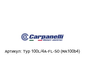 Typ 100L/4A-FL-SO (MA100b4) Carpanelli