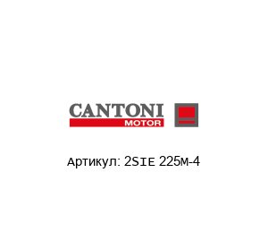 2SIE 225M-4 Cantoni Motor